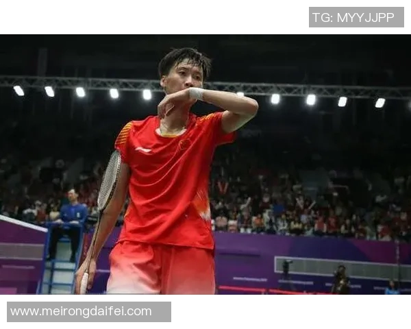 南京羽毛球队总决赛精彩回顾与节奏表现分析