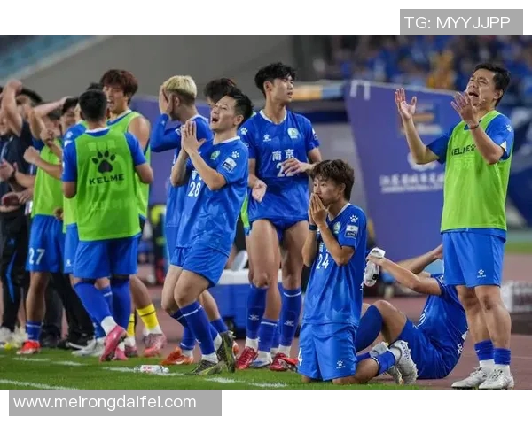 南京足球队实力强劲荣登全国足球实力排行榜第五位