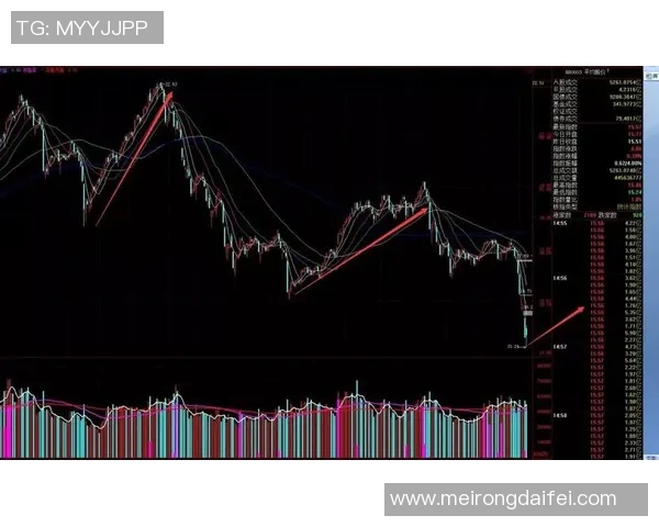 武汉羽毛球队与成都羽毛球队赛后复盘分析比赛节奏与战术对比