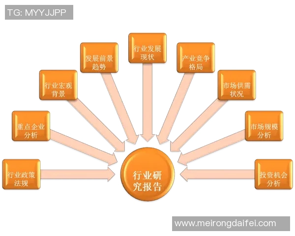 深圳羽毛球队的控制策略与发展前景深度解析